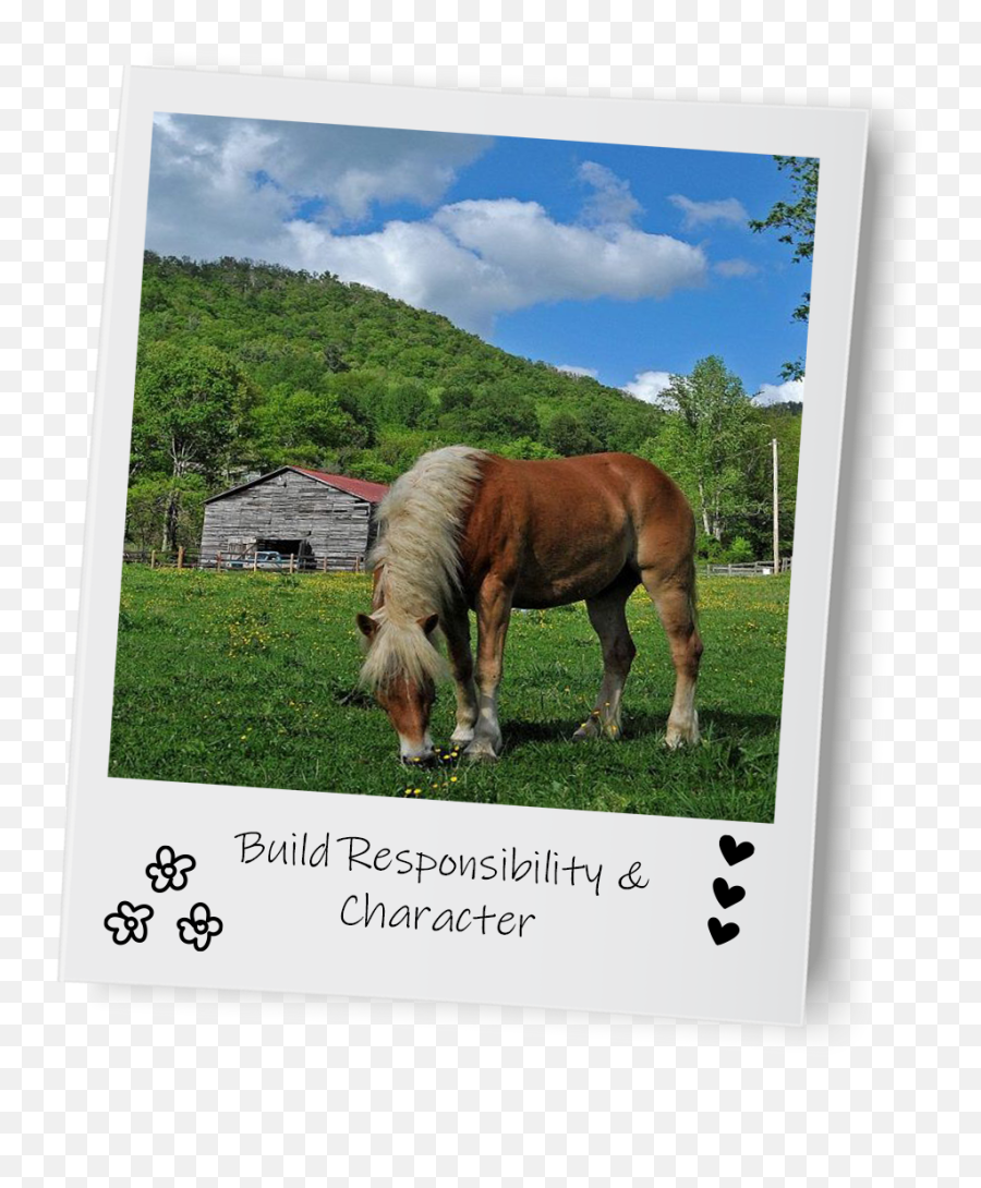Equine Therapy Developing Responsibility And Self - Reflection Picture Frame Emoji,Horse Emotions