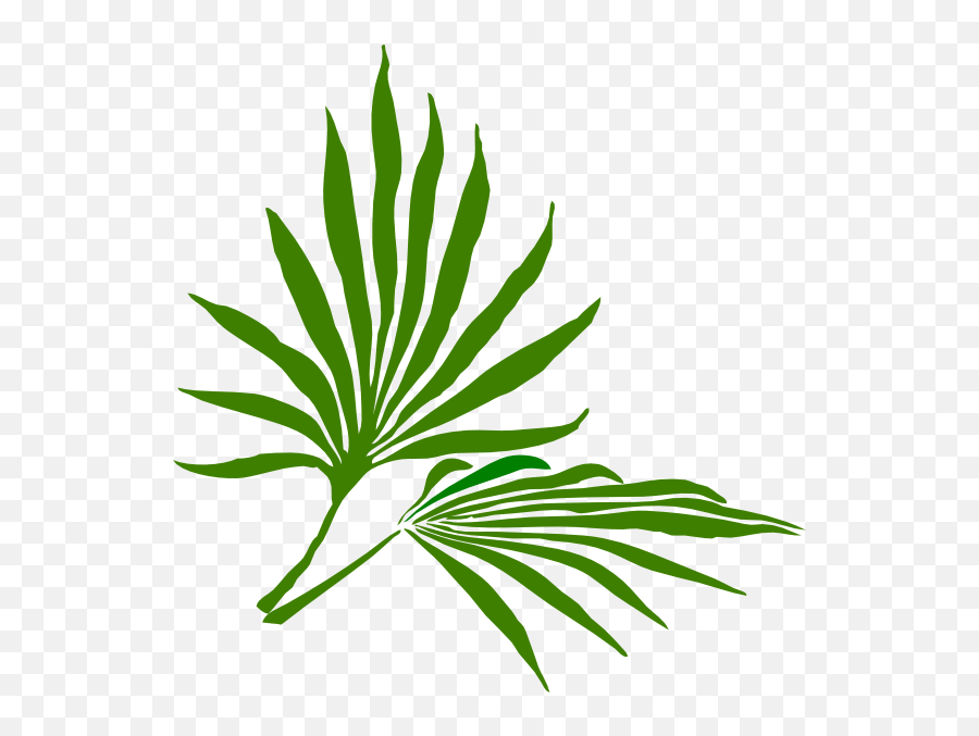 Palm Sunday Clip Art At Vector Clip Art - Palm Frond Clip Art Emoji,Palm Sunday Emoji