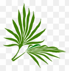 Palm Sunday Clip Art At Vector Clip Art - Palm Frond Clip Art Emoji,Palm Sunday Emoji