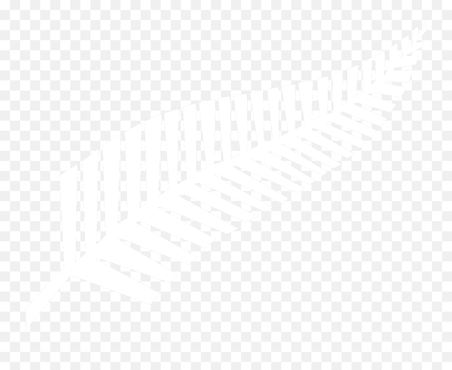 Silver Fern Flag Png U0026 Free Silver Fern Flagpng Transparent - Silver Fern Nz Flag Emoji,Dez Bryant Emoji