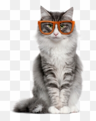 Felix - Cat With I Vomited Sticker Emoji,Felix The Cat Emoticon Code