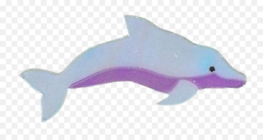 The Most Edited Yunus Picsart Emoji,Dolphin Iphone Emojis