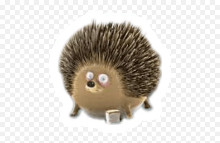 Telegram Sticker From Round Animals Pack Emoji,Hedgehog With Star Emoji