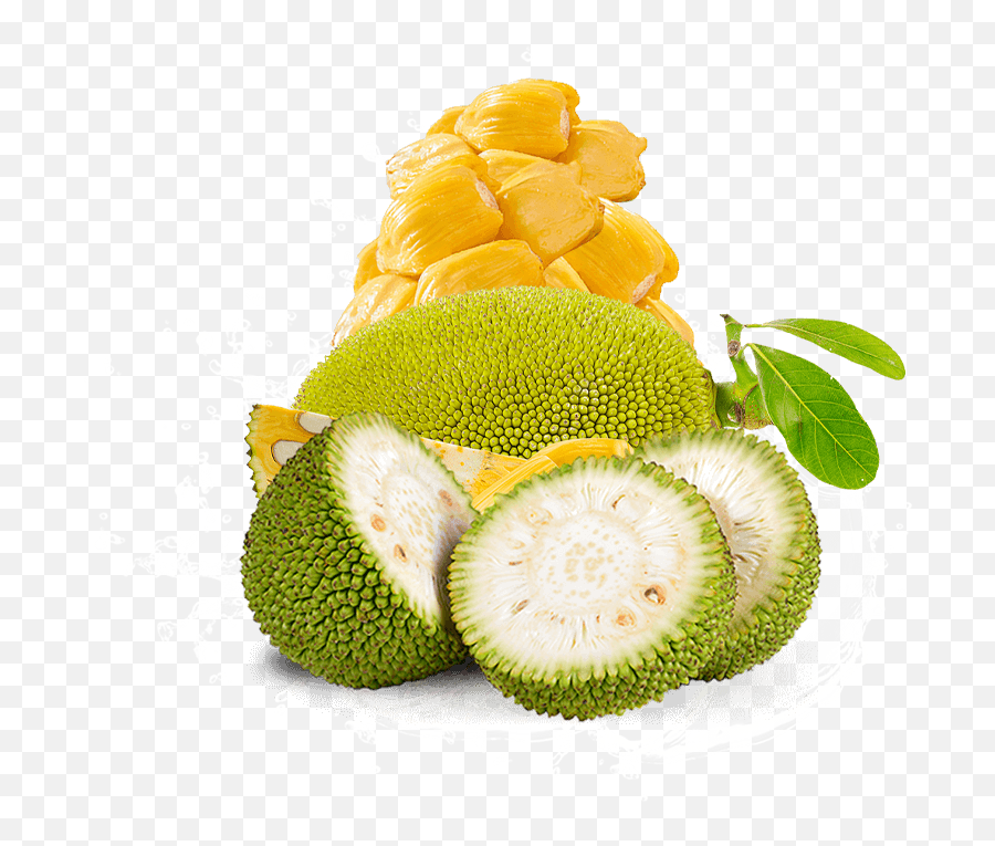 Jackfruit U2013 Sicarfarms Emoji,Fruity Emojis