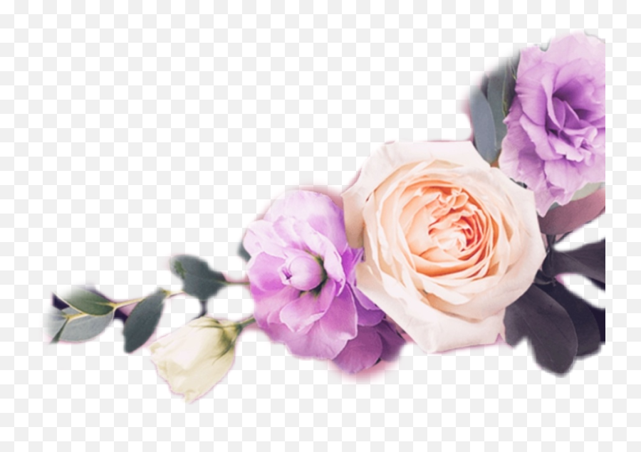 Flowers Roses Bouquet Sticker - Garden Roses Emoji,Emoji Cookie Bouquet