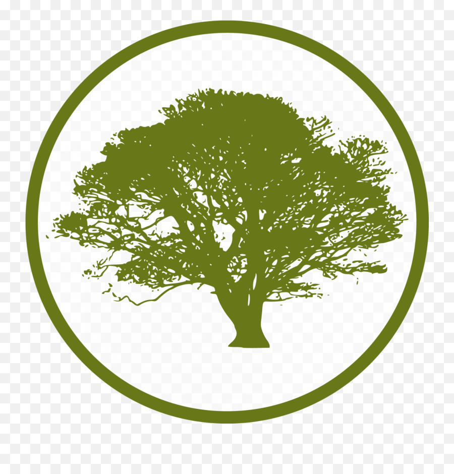 Tree Icon Png Tree Icon Png Transparent Free For Download - Transparent Big Tree Silhouette Emoji,Deciduous Tree Emoji