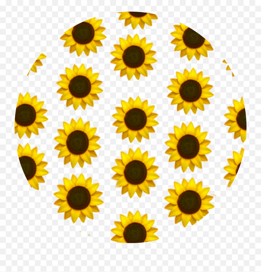 Emoji Background Yellow Aesthetic - Aesthetic Wallpaper For Tiktok,Sunflower Emoji