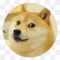 Marblecards - Collect The Web Doge Emoji,Doge Emoticon Art
