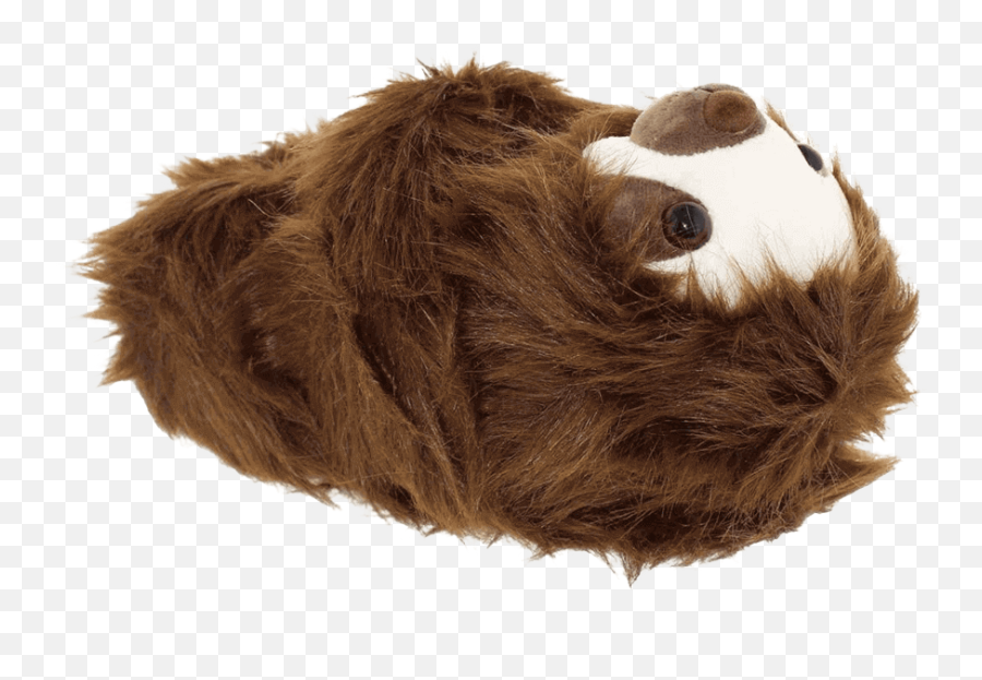 Sloth Slippers Emoji,Emotions Tied To Sloth