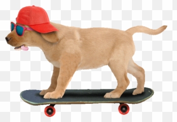 Top Dog Skateboarding Stickers For Android U0026 Ios Gfycat - Cool Dog Gif Transparent Emoji,Dog Emoji Android