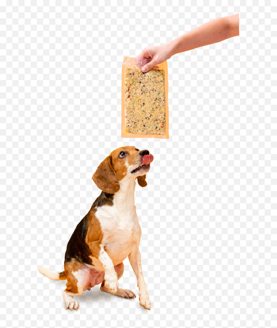 Dog Dog Dog Photo - Apsgeyser Dog Treat Emoji,Dog Treat Emoji