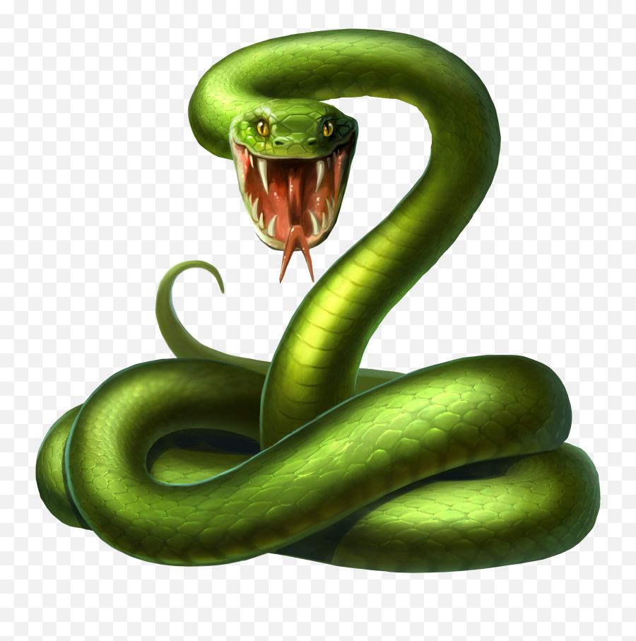 Snake Android Illustration Green - Green Snake Png Emoji,Snake Emoji Png