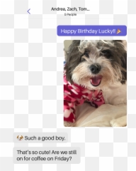 Free Texting And Calling Text Free - Photo Caption Emoji,Cute Love Emoji Text Messages