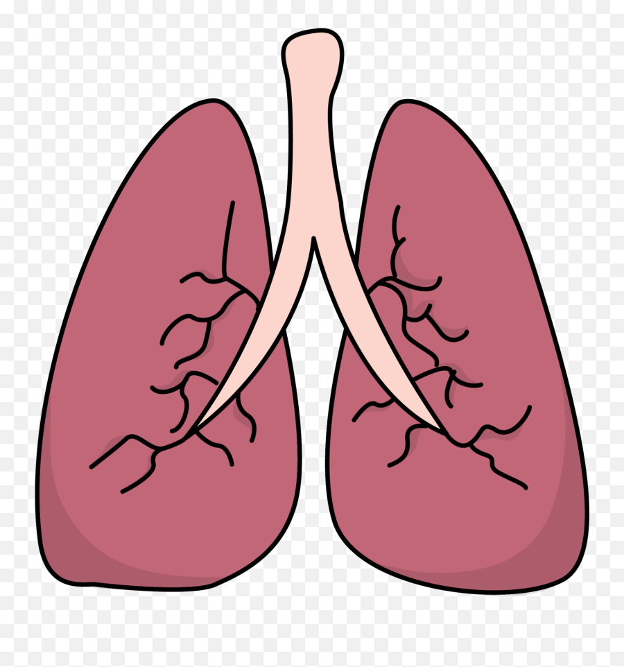 Lungs Clipart Asthma Lung Lungs Asthma Lung Transparent - Small Lungs Emoji,Wheeze Emoji