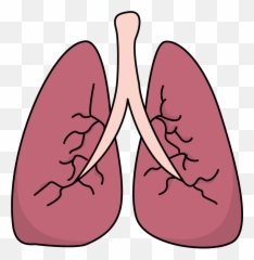 Lungs Clipart Asthma Lung Lungs Asthma Lung Transparent - Small Lungs Emoji,Wheeze Emoji