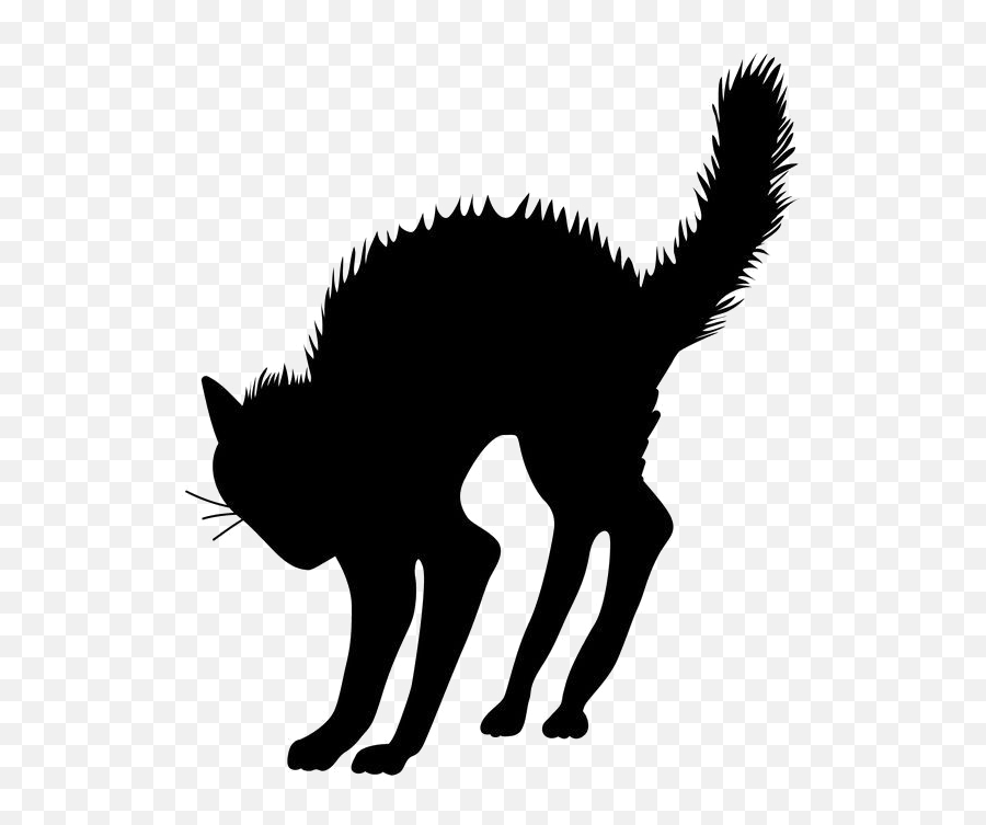 Halloween Black Cat Silhouette Png U0026 Free Halloween Black - Cat Silhouette Halloween Emoji,Halloween Cat Emoji