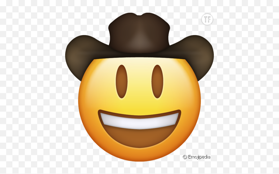 A Sisters Diary - Cowboy Emoji Png,Oops Emoji