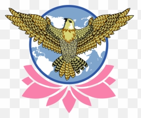 About The Movement - American Emoji,Emotions Falcon