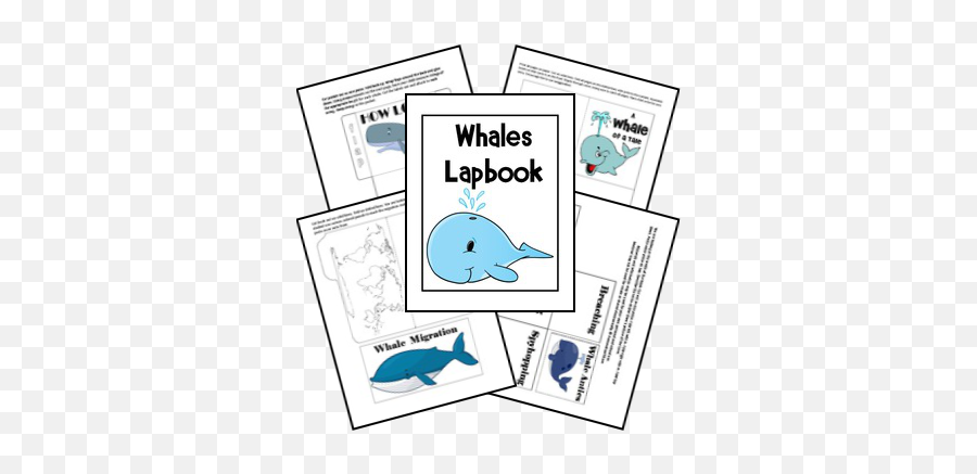 25 Amos U0026 Boris Week 7 Ideas In 2021 Ocean Unit Author - Lapbook Wal Emoji,Whales Mimicking Human Emotion