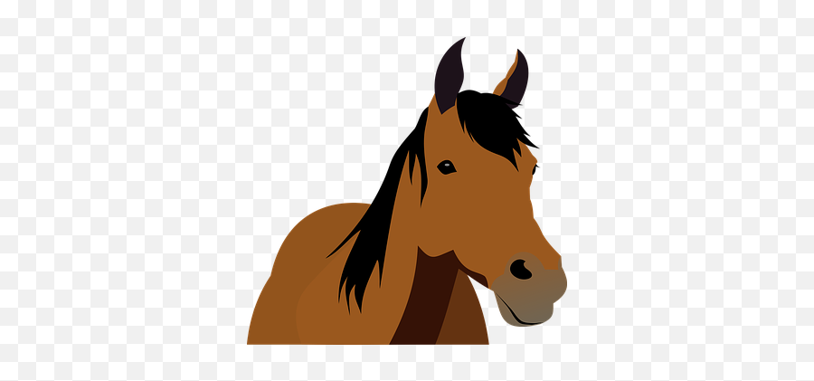 90 Free Stallion U0026 Horse Vectors - Pixabay Horse Front View Cartoon Emoji,Mustang Emoji