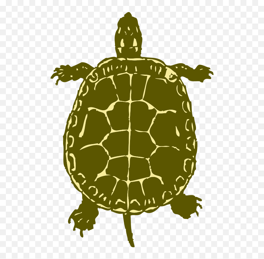 Free Clipart - 1001freedownloadscom Birds Eye View Of Tortoise Emoji,Sea Turtle Emoticon