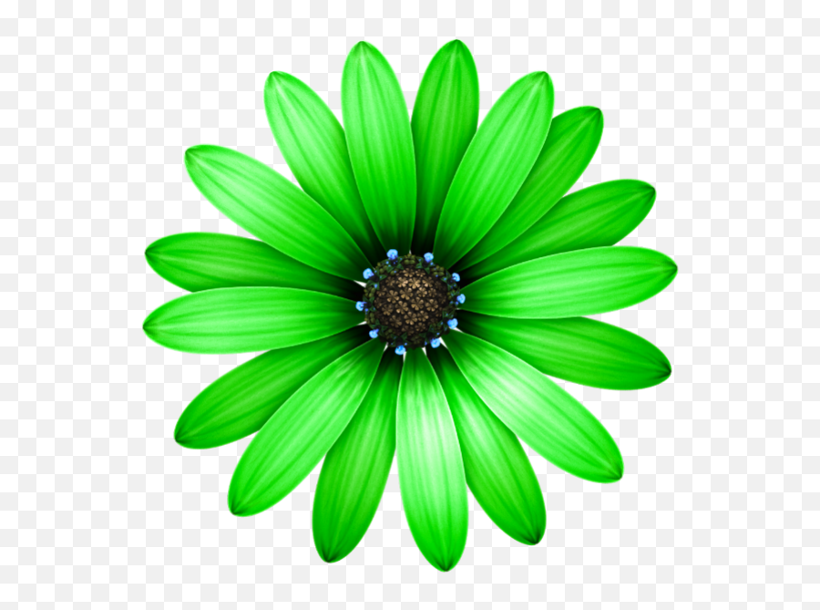 Single Flower Png Images Free - Png Clipart Daisy Flower Png Emoji,Emojis Flower Omg