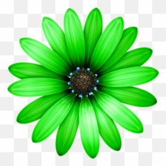 Single Flower Png Images Free - Png Clipart Daisy Flower Png Emoji,Emojis Flower Omg