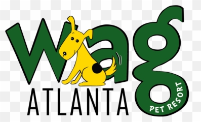 Reviews - Wag Atlanta Emoji,Tail That Wags With Emotion