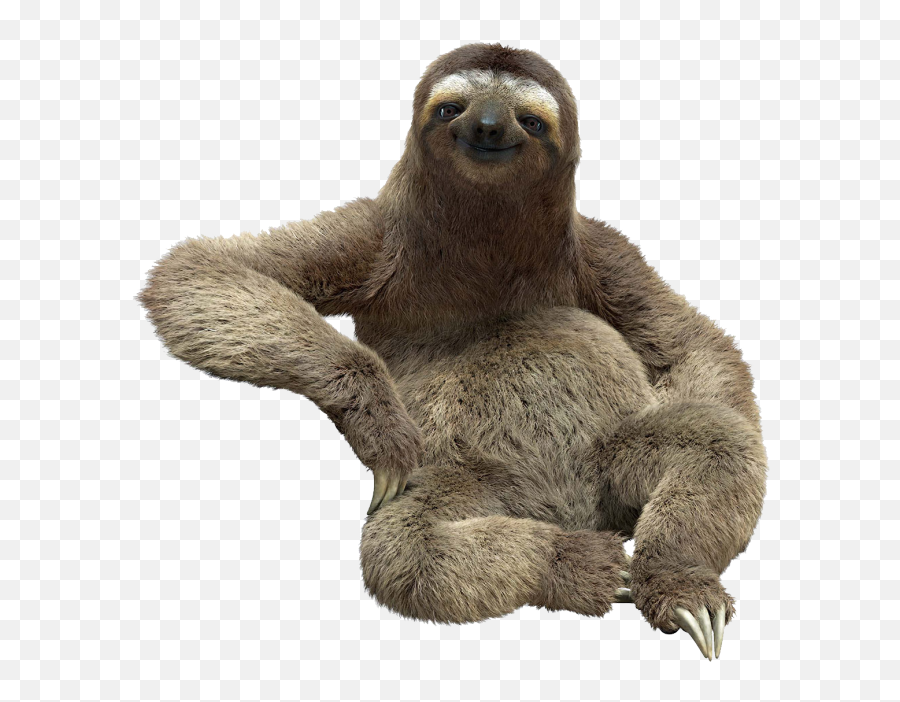 Sloth Png 4 User Saksham 0 1 Sloth Png 3 User Emoji,Cute Sloth Emojis