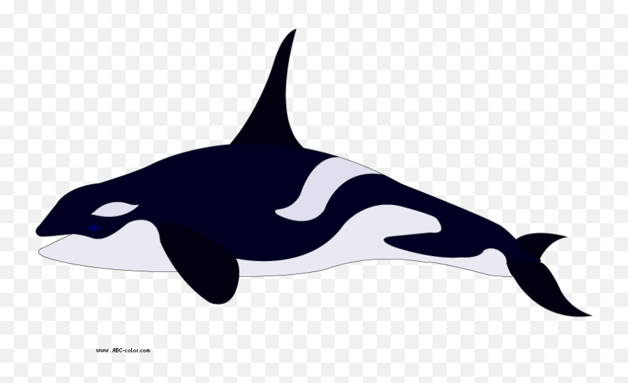 Clipart Whale Transparent Background - Killer Whale Emoji,Killer Whale Emoji