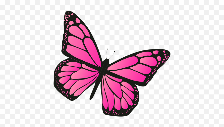 Detailed Pink Butterfly Vector - Pink Butterfly Png Transparent Emoji,Butterfly Emoji Transparent
