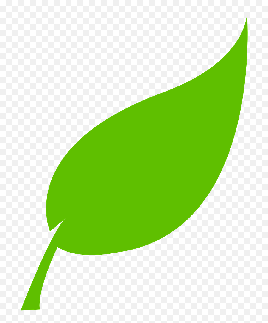 Leaf Green Environment Natural Png Picpng - Vector Tree Leaf Png Emoji,Maple Leaf Emoticon