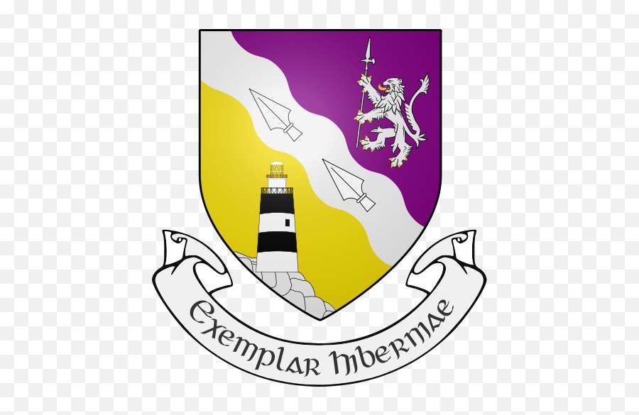 All 32 Irish County Coat Of Arms What They Mean And Where - Wexford County Council Logo Emoji,Ulster Flag Emoji