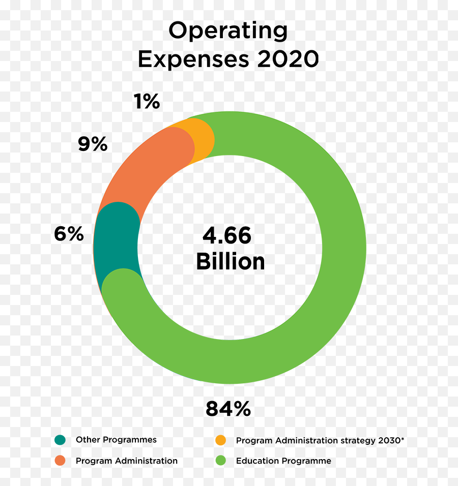 Annual Report 2020 Tcf - Usa The Citizens Foundation Emoji,Gallup Global Emotions Report