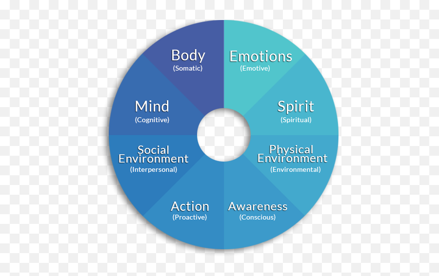 About Us U2013 The Human Fulfillment Institute - Dot Emoji,Emotion Pie Chart