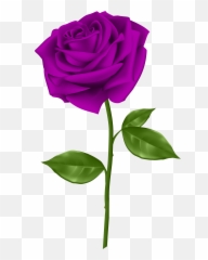 Library Of July Birth Flower Picture - Transparent Background Red Rose Png Emoji,Rose Emoticon For Tatto