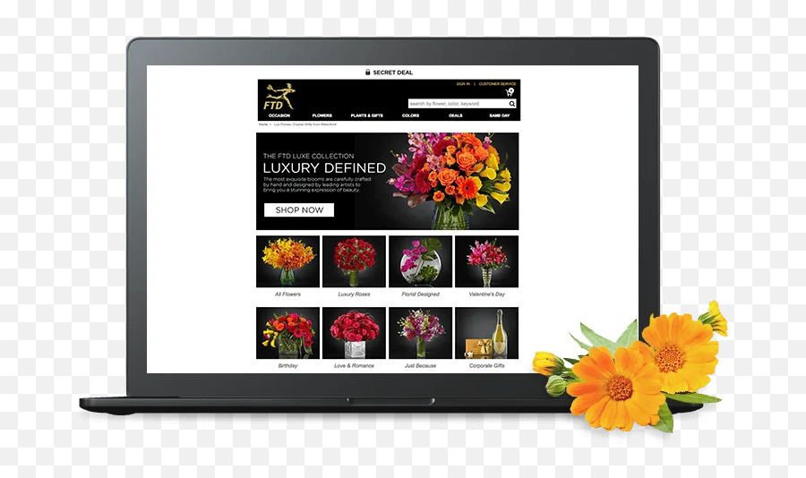 How To Start A Flower Shop Online Best Examples - Lcd Emoji,Hipolito Without You Today's Emotions