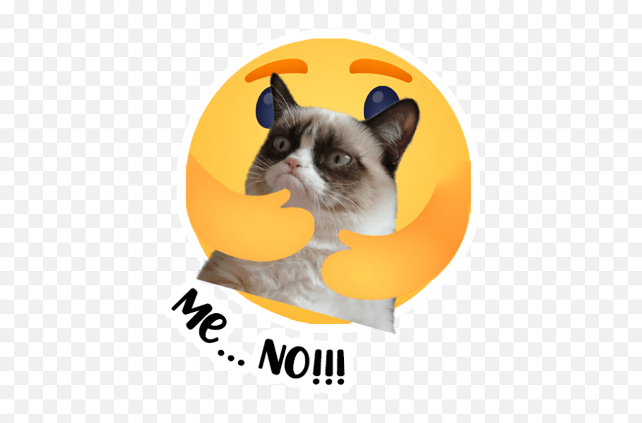 Sticker Maker - Reacciones De Facebook Domestic Cat Emoji,Reacciones De Emojis Para Facebook