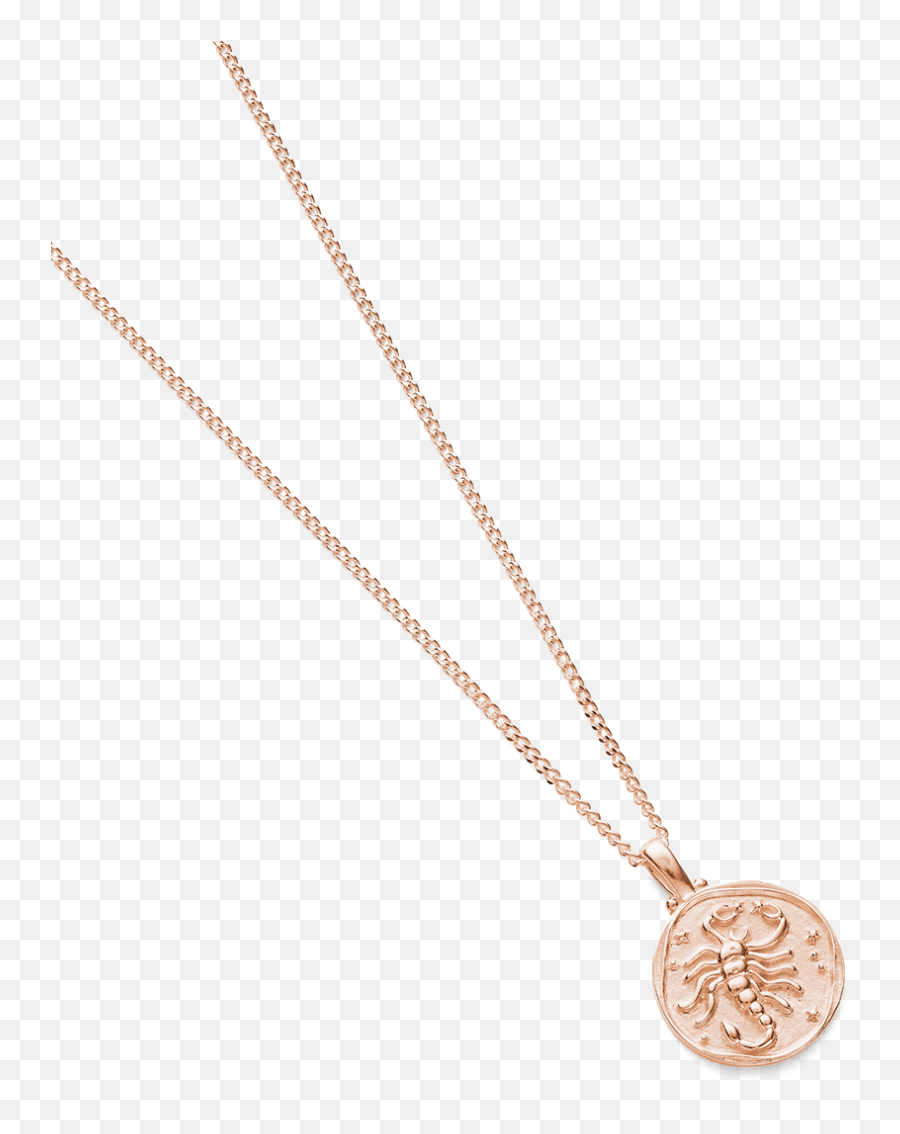 Scorpio Zodiac Necklace Rose Gold - Solid Emoji,Control Emotions For Scorpios