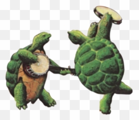 Grateful Dead Loose Leaf Teas - Grateful Dead Terrapin Emoji,Grateful Dead Emojis For Iphone