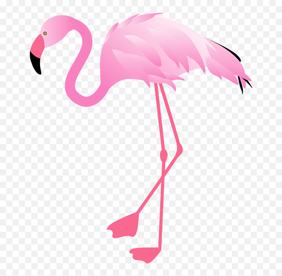 Flamingo Clipart - Gambar Flamingo Clip Art Emoji,Pink Flamingo Emoji