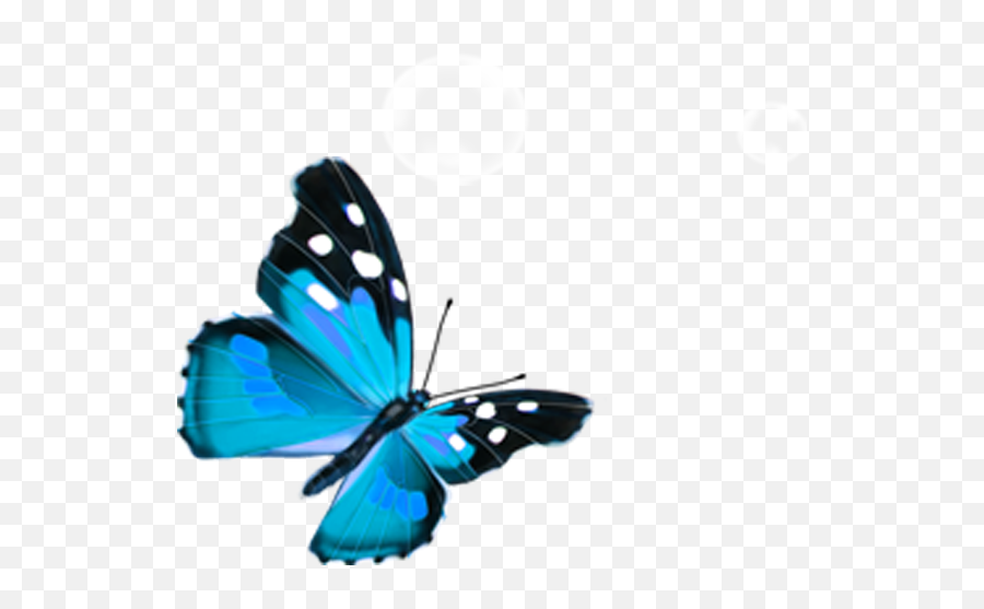 Free Transparent Butterfly Png Download Emoji,2 Blue Butterfly Emojis
