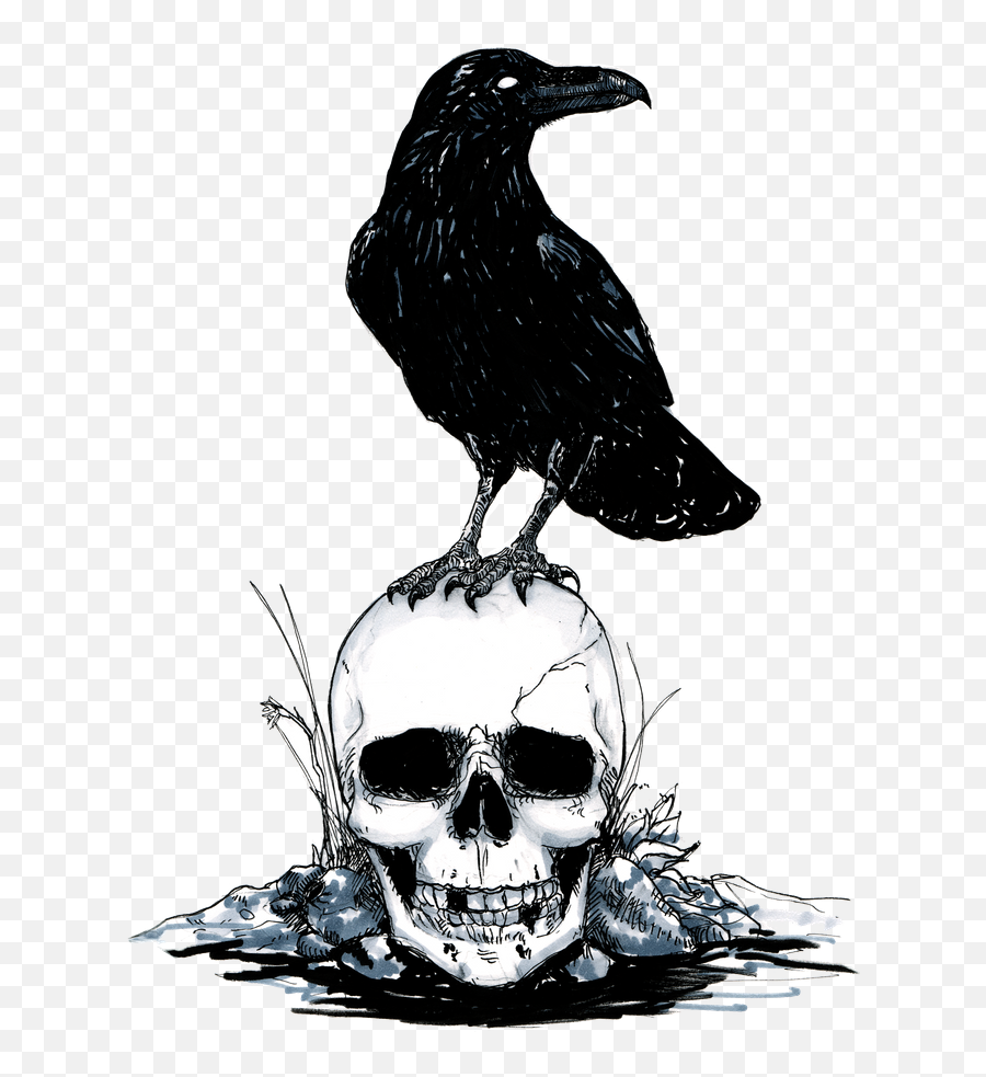 Inktober Skull And Raven Art Print By Charlotte Harper - X Emoji,Raven And Her Emotions