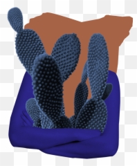 Anger - Nopal Emoji,Anger Is Not An Emotion