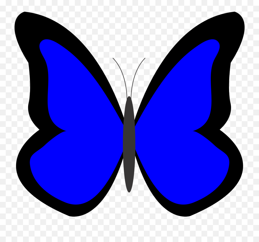 2012 February 02 Xochi - Blue Butterfly Clipart Butterflies In Blue Colour Emoji,Butterfly Emoji Png