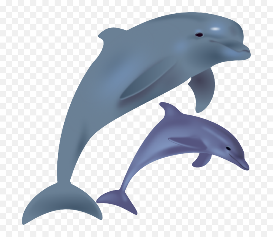 70 Free Dolphins U0026 Mammal Vectors - Pixabay Dolphins In Captivity Vs Wild Emoji,Dolphin Emoji