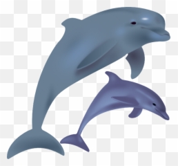 70 Free Dolphins U0026 Mammal Vectors - Pixabay Dolphins In Captivity Vs Wild Emoji,Dolphin Emoji
