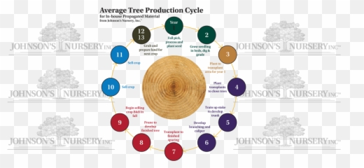Stages Of Production - Effect Captagon Emoji,Whip Emoji Copy