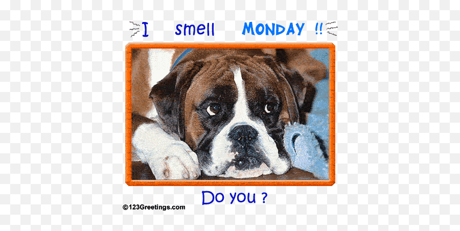 Monday Humor Quotes - Hate Monday Quotes Gif Emoji,Animal Emotions Quotes
