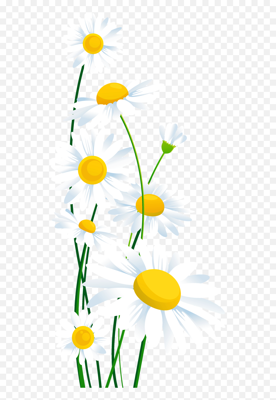 Library Of White Flower Png Transparent Stock Transparent - Spring Transparent Background Flowers Clipart Emoji,Emojis With Flowers In Beach Background